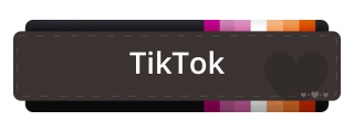 TikTok Panel from Lesbian Pride Panel Theme.